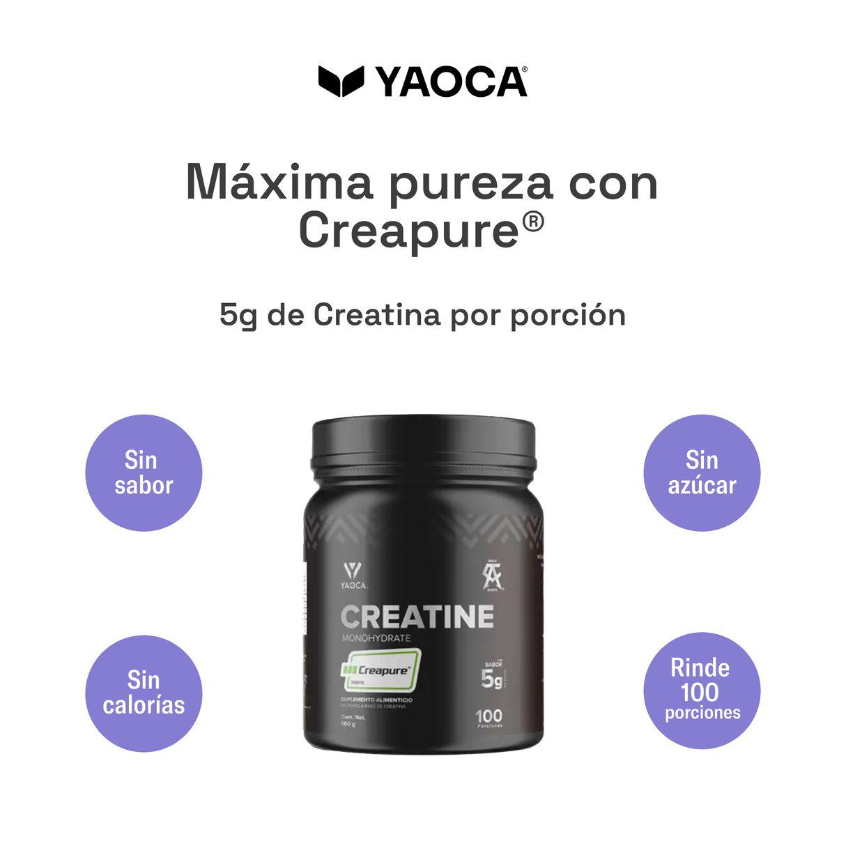 Creatina Creapure® – La Creatina Más Pura del Mundo para Potenciar Tu Rendimiento (500g)
